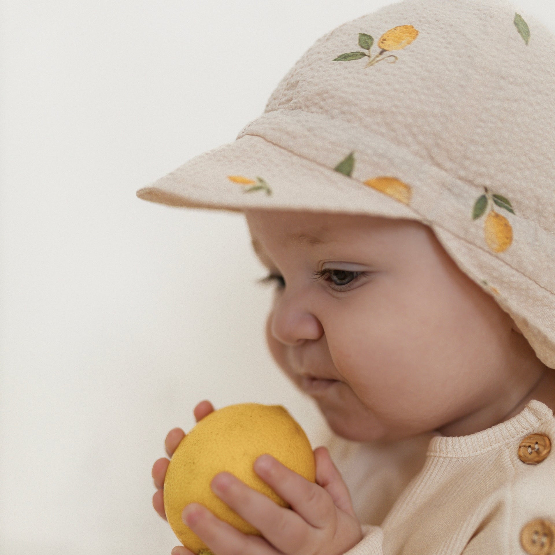Organic Sonnenhut pure Lemon