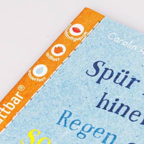 Baby Pixi 176: Regen oder Sonnenschein?