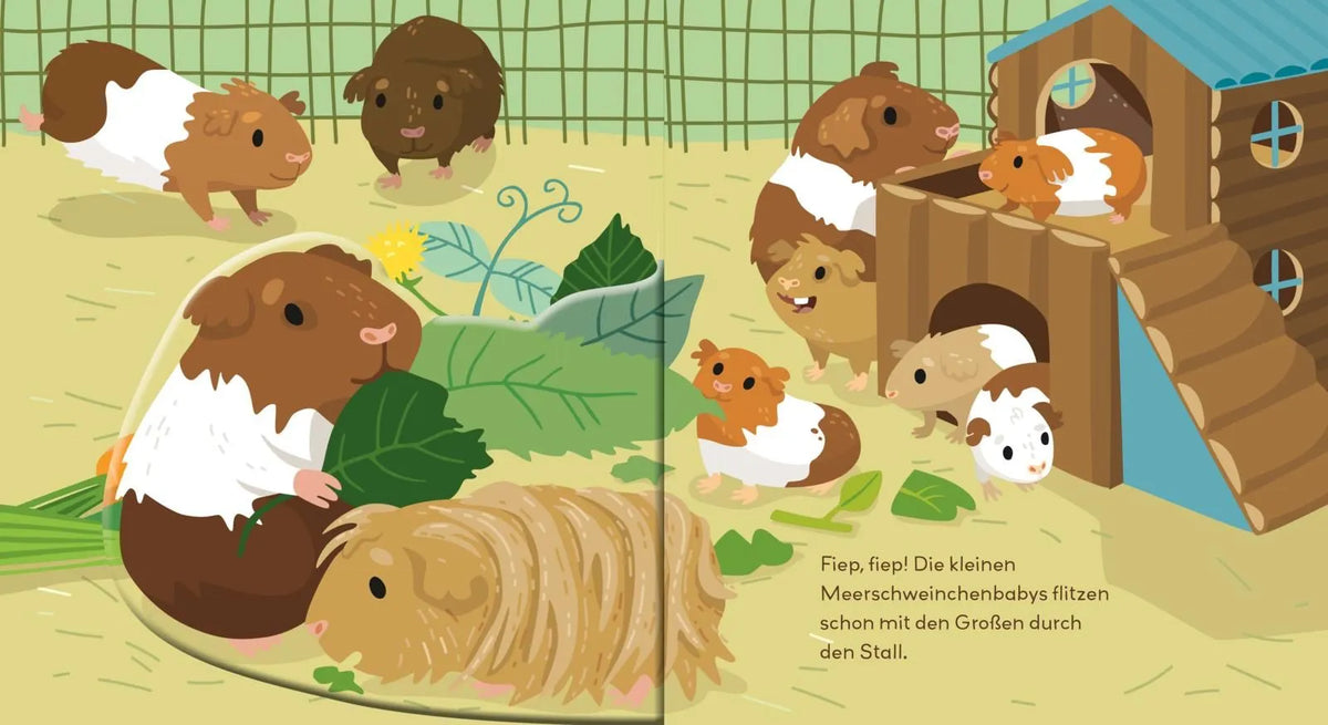 Baby Pixi 189: Flippediflapp – Tiere bei uns zu Hause