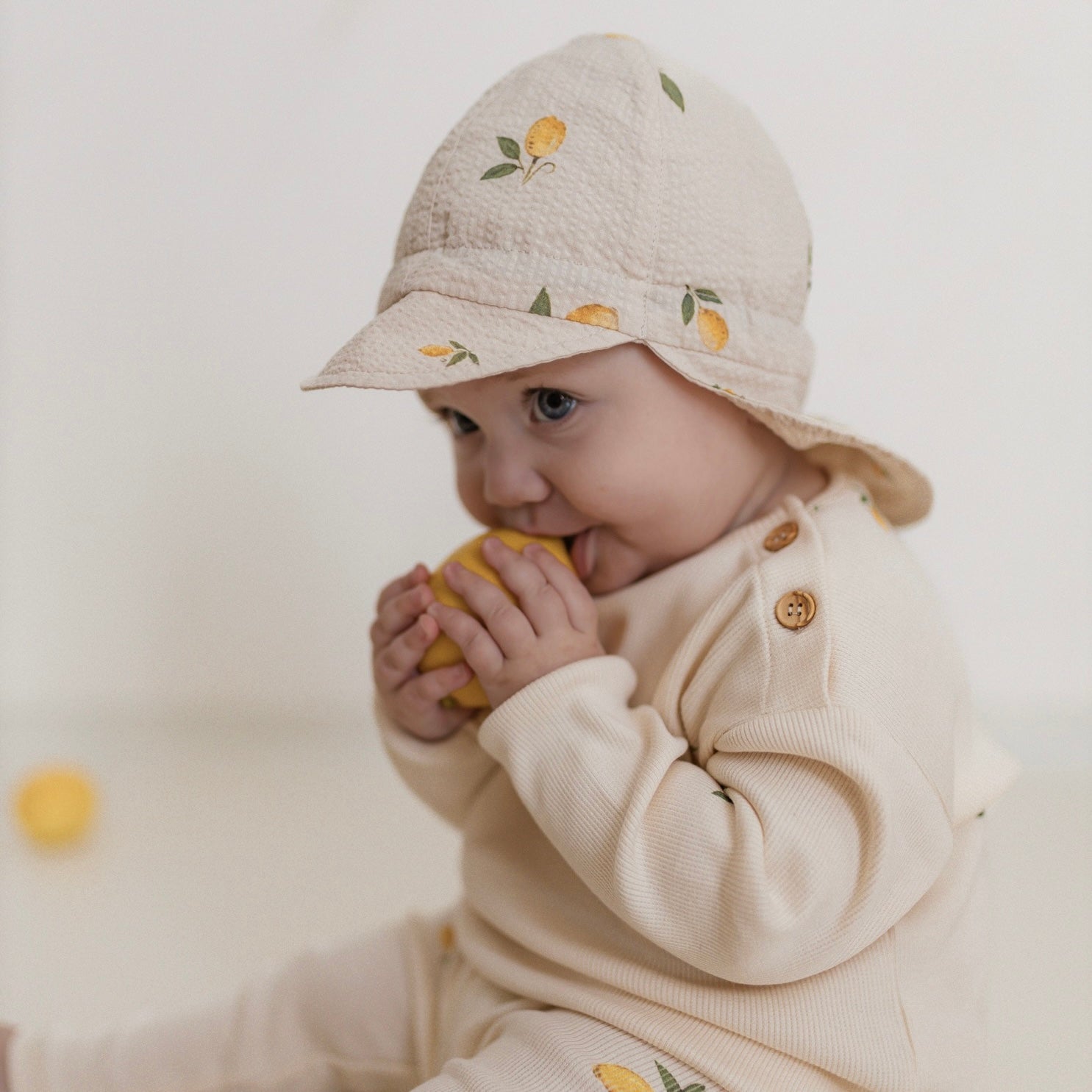 Organic Sonnenhut pure Lemon