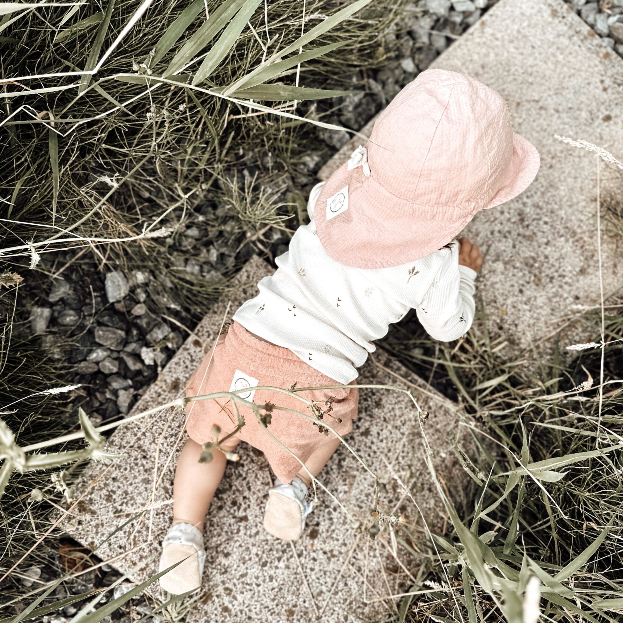 Organic Sonnenhut dusty rose