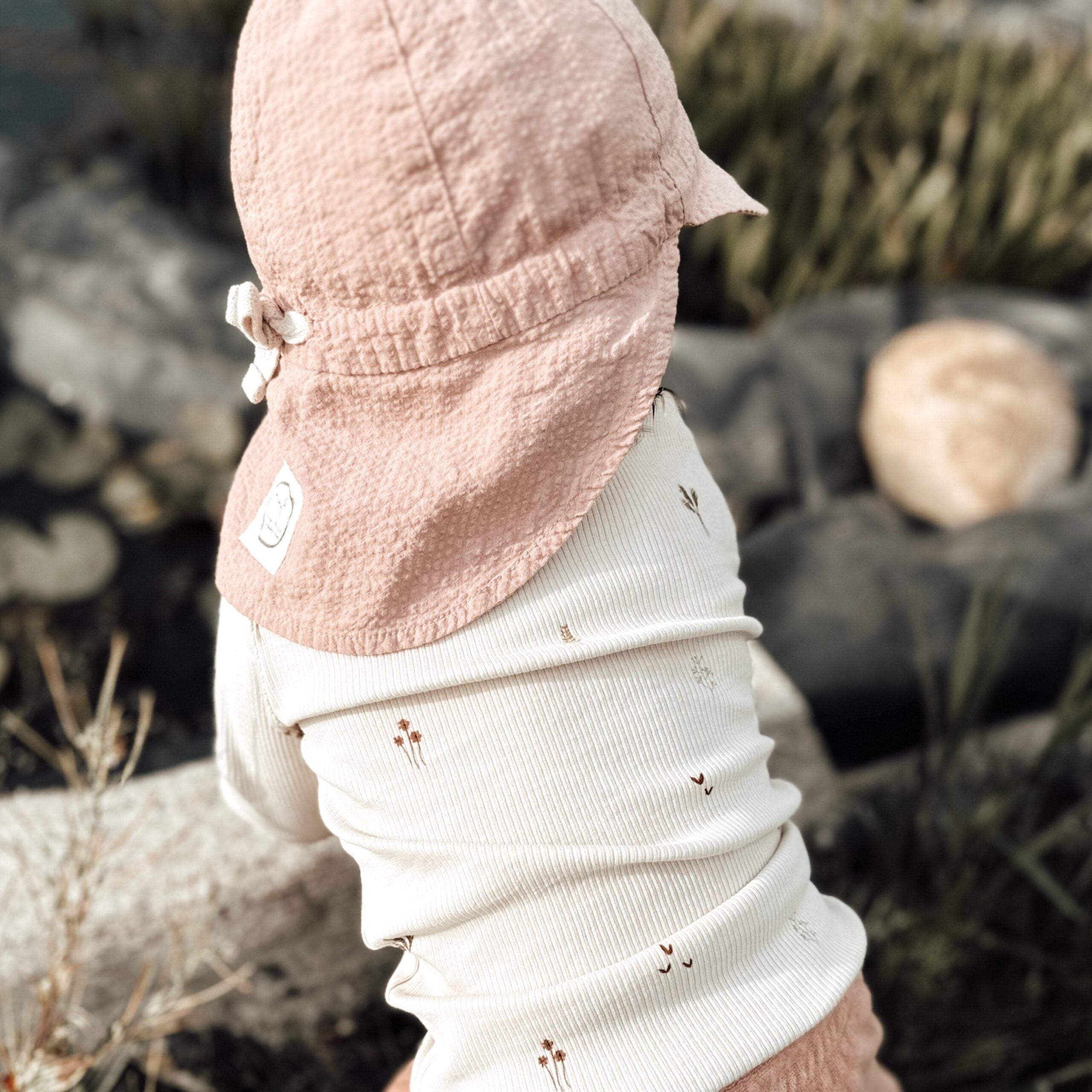 Organic Sonnenhut dusty rose
