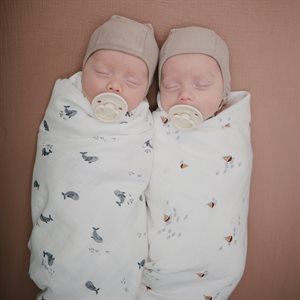 Swaddle Whales