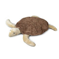 Schildkröte gross braun