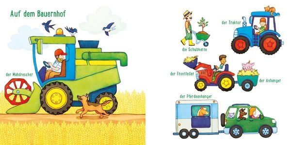 Buggybuch unkaputtbar: Alle meine Fahrzeuge