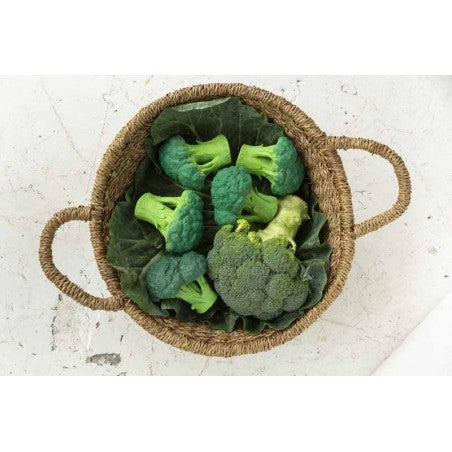 Brucy the broccoli