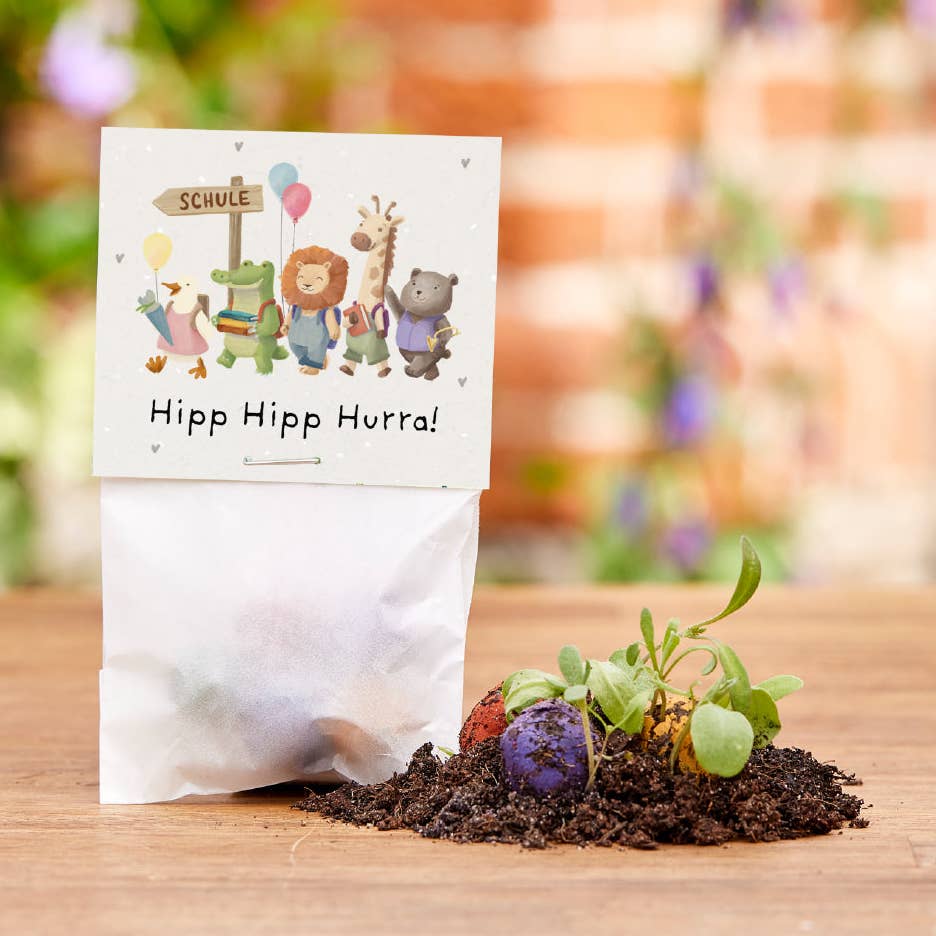 Blumenmurmeln 'Hipp Hipp Hurra'