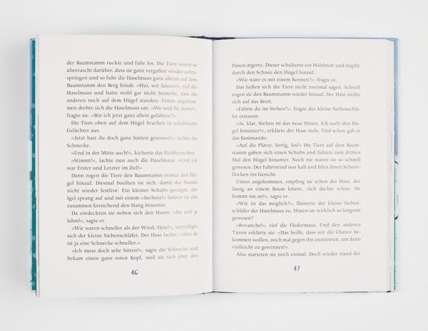 Siebenschläfer: Eine Pudelmütze voller Wintergeschichten