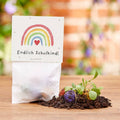 Blumenmurmeln | Endlich Schulkind