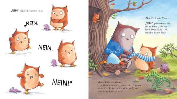 Ein Geschwisterchen für die kleine Eule
