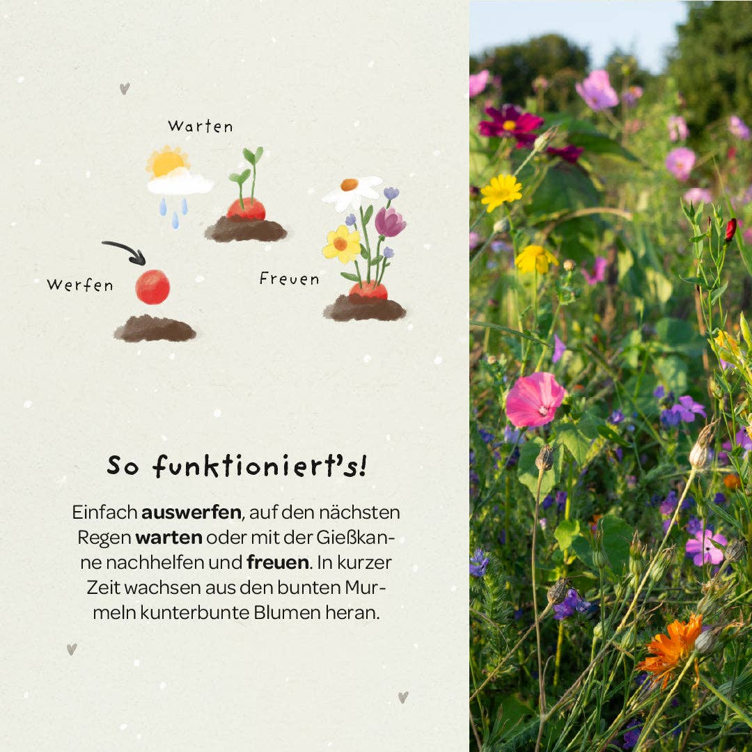 Blumenmurmeln 'Hipp Hipp Hurra'