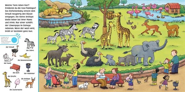 Soundbuch-Wimmelbuch: Im Zoo