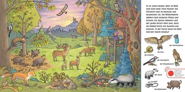 Soundbuch-Wimmelbuch: Wald und Wiese