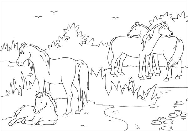 Mein schönstes Malbuch Pferde und Ponys