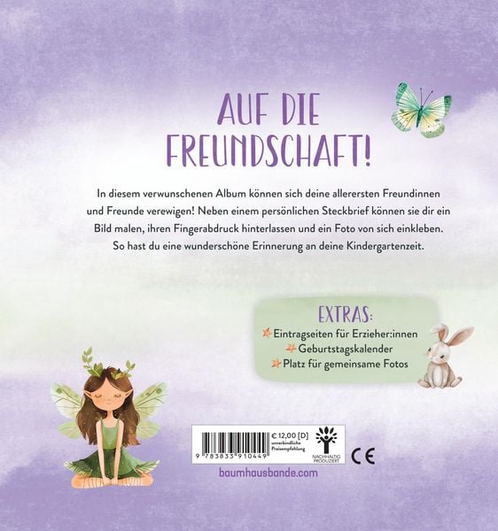 Meine Kindergartenfreunde - Feen