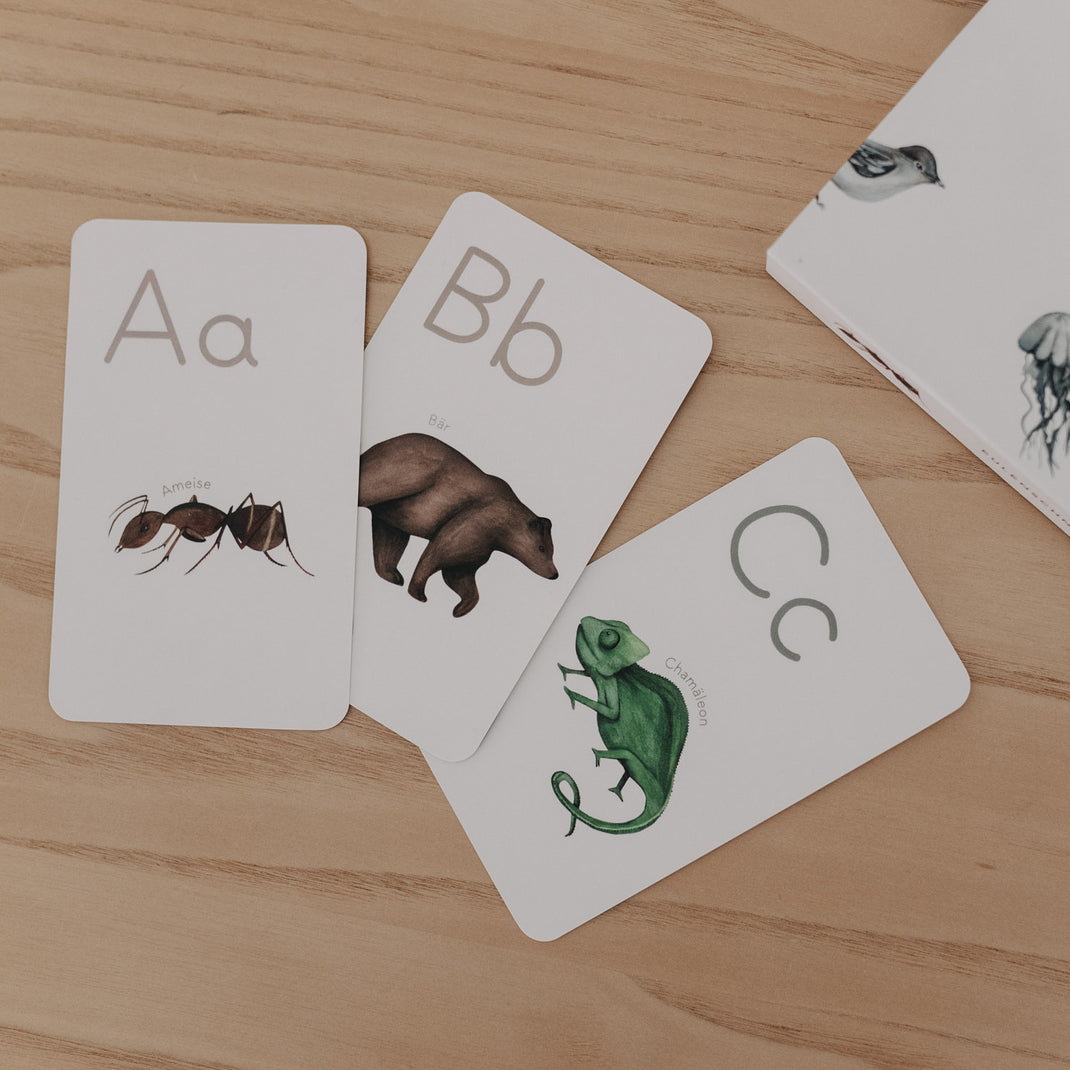 Lernkarten ABC